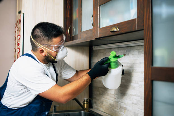 Best Local Pest Control Services  in Mission Bend, TX