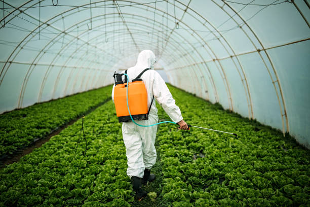 Best Local Pest Control Services  in Mission Bend, TX