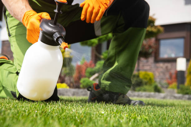 Best Wildlife Control Services  in Mission Bend, TX