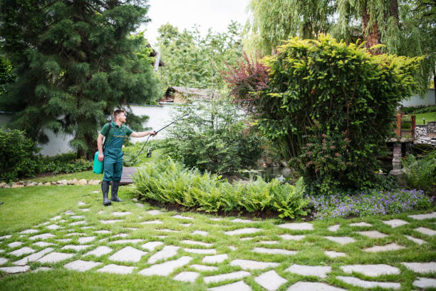 Best Ant Control Services  in Mission Bend, TX