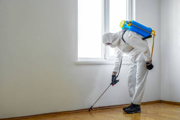 Best Commercial Pest Control Services  in Mission Bend, TX