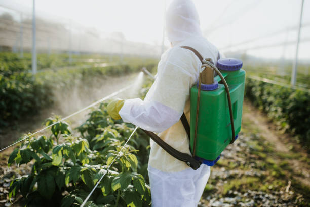Pest Control Cost in Mission Bend, TX